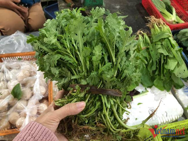 Đà Nẵng: Rau xanh khan hàng, giá cao ngất ngưởng